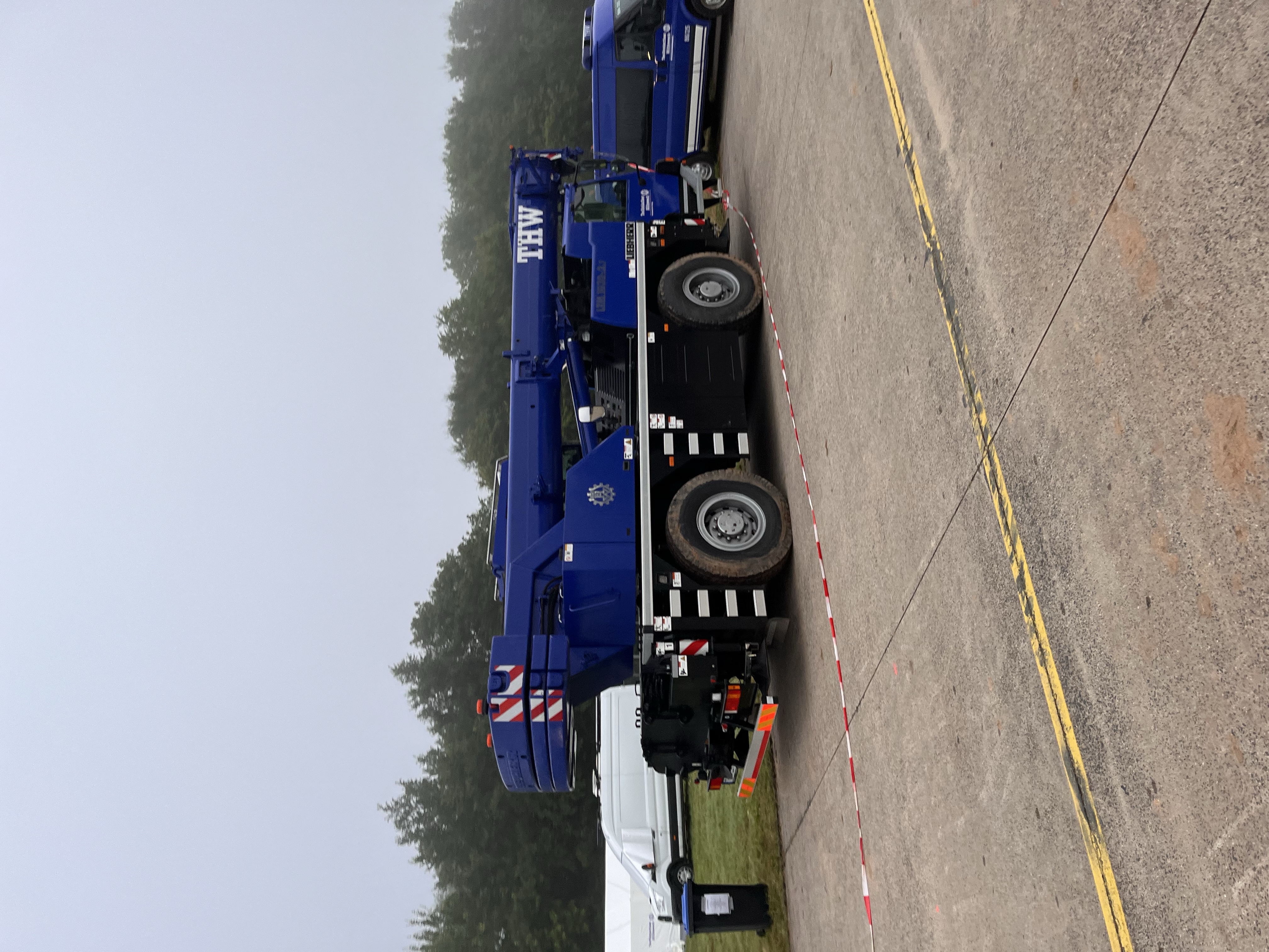 Christbaum sammeln 2025